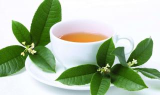 生茶保质期多久 普洱熟茶保质期